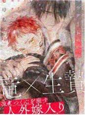 小马宝莉第9季真人版 封面